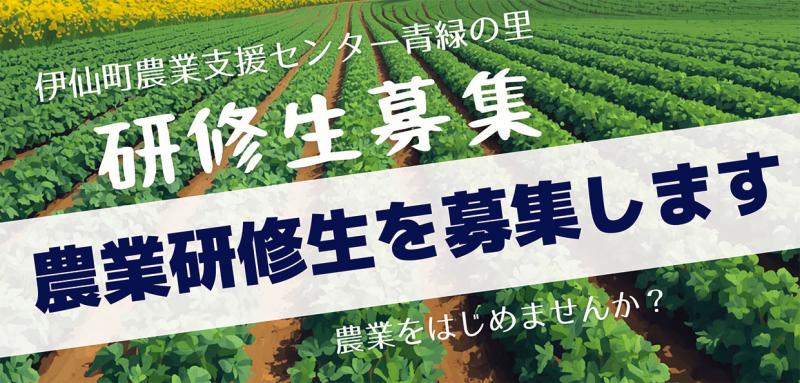 トップ画像