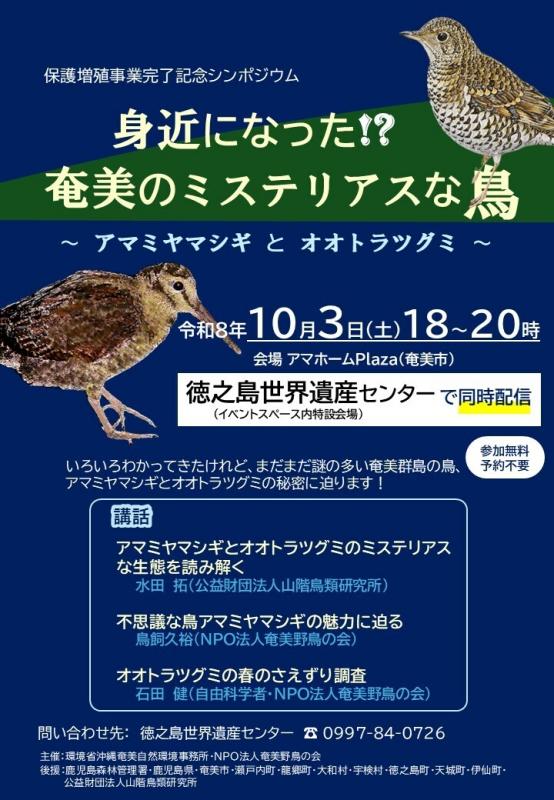 チラシ